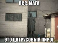 псс, мага это цитрусовый пирог