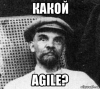 какой agile?