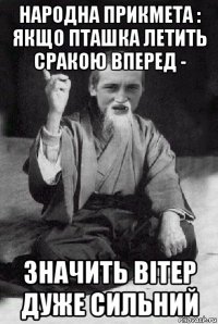 народна прикмета : якщо пташка летить сракою вперед - значить вітер дуже сильний