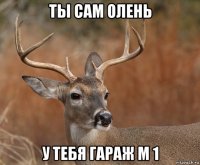 ты сам олень у тебя гараж м 1