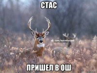 стас пришел в ош