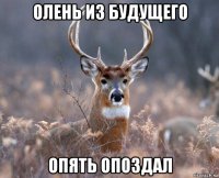 олень из будущего опять опоздал