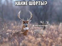 какие шорты? 