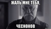 жаль мне тебя, чесноков