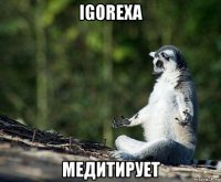 igorexa медитирует