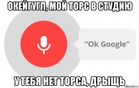 окейгугл, мой торс в студию у тебя нет торса, дрыщь