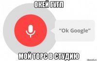 окей гугл мой торс в студию