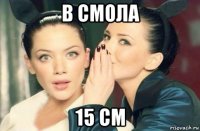 в смола 15 см