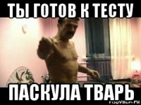 ты готов к тесту паскула тварь