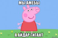 мы амебы а айдар гигант