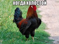 когда холостой 