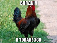 блядыч в топане хса