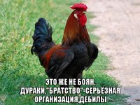  это же не боян, дураки,"братство"-серьёзная организация,дебилы