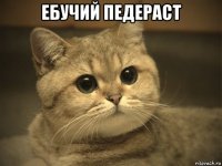 ебучий педераст 