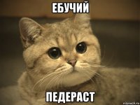 ебучий педераст