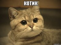 котик 