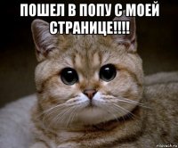 пошел в попу с моей странице!!!! 