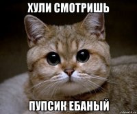 хули смотришь пупсик ебаный