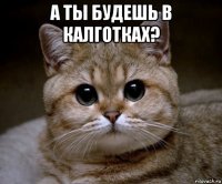 а ты будешь в калготках? 