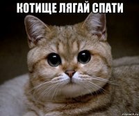 котище лягай спати 