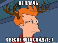 не плачь! к весне рога сойдут;-)