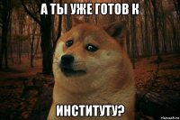 а ты уже готов к институту?