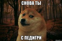 снова ты с педигри