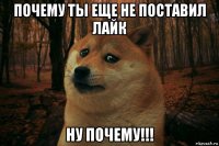 почему ты еще не поставил лайк ну почему!!!