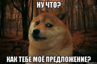 ну что? как тебе моё предложение?