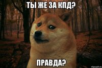 ты же за кпд? правда?