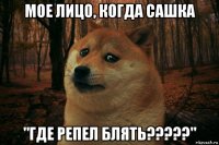 мое лицо, когда сашка "где репел блять?????"