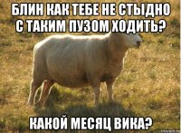 блин как тебе не стыдно с таким пузом ходить? какой месяц вика?