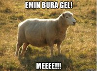 emin bura gel! meeee!!!