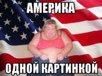 америка одной картинкой