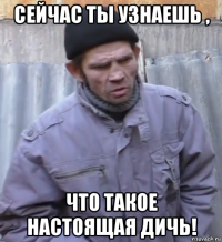 сейчас ты узнаешь , что такое настоящая дичь!