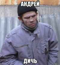 андрей дичь