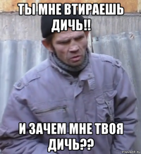 ты мне втираешь дичь!! и зачем мне твоя дичь??