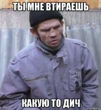 ты мне втираешь какую то дич