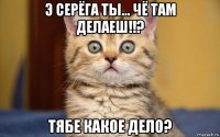 э серёга ты... чё там делаеш!!? тябе какое дело?