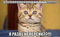 ололооооооооооошаааааааа!!!!!!!!!!! я разве не персик??!!!