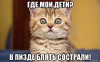 где мои дети? в пизде блять сострали!