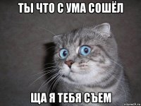 ты что с ума сошёл ща я тебя съем