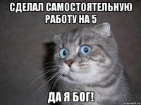 сделал самостоятельную работу на 5 да я бог!