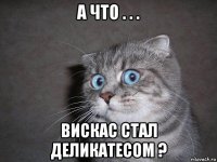 а что . . . вискас стал деликатесом ?