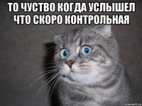 то чуство когда услышел что скоро контрольная 