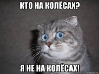 кто на колёсах? я не на колёсах!