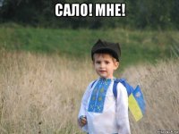 сало! мне! 