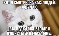 вот я смотрю на вас, людей, и думаю вы ведь тоже белые и пушистые? в глаза мне...