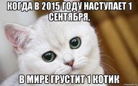 когда в 2015 году наступает 1 сентября, в мире грустит 1 котик