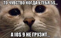 то чувство когда у тебя 5s... а ios 9 не грузит...